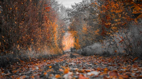 Exploring ‘A lot of’ in Digital Communication